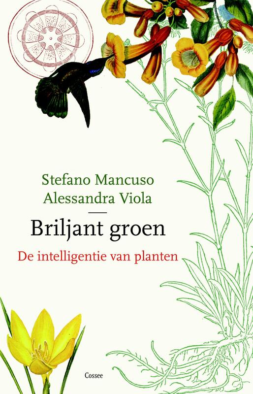 Omslag van boek: Briljant groen
