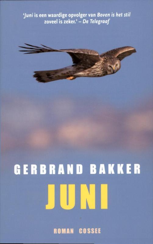 Omslag van boek: Juni