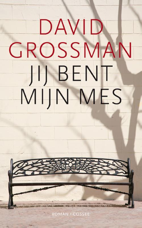 Omslag van boek: Jij bent mijn mes