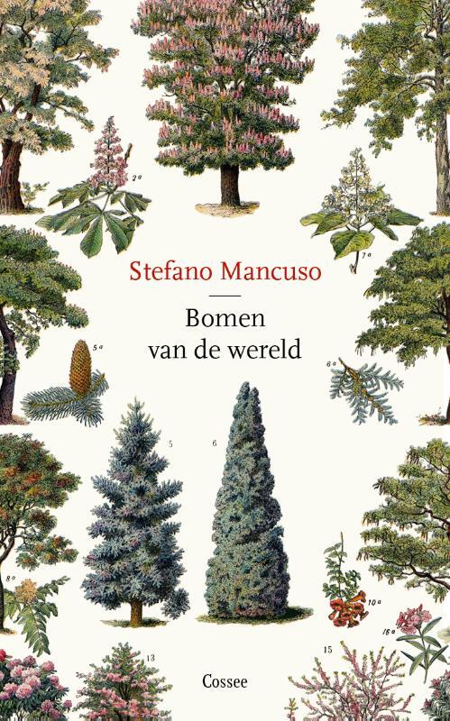 Bomen van de wereld