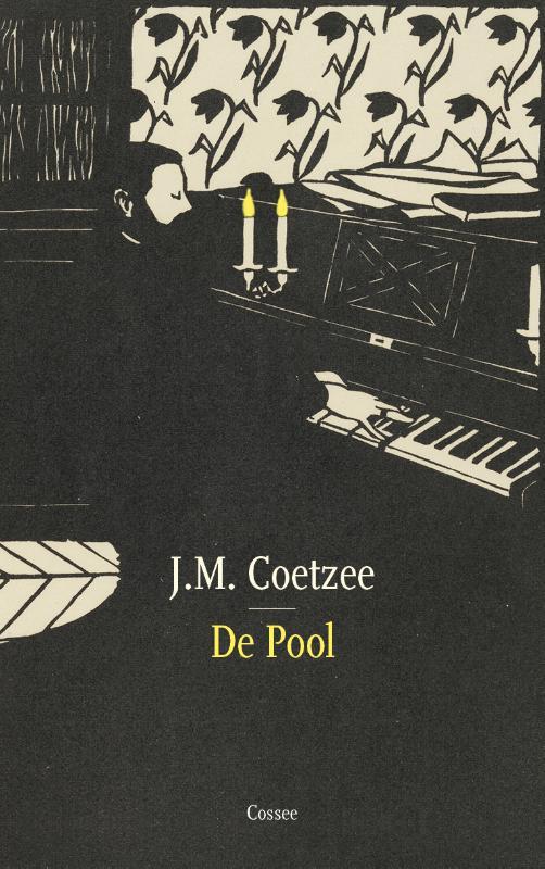 Omslag van boek: De Pool