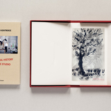A Natural History of the Studio + original drawing 4
