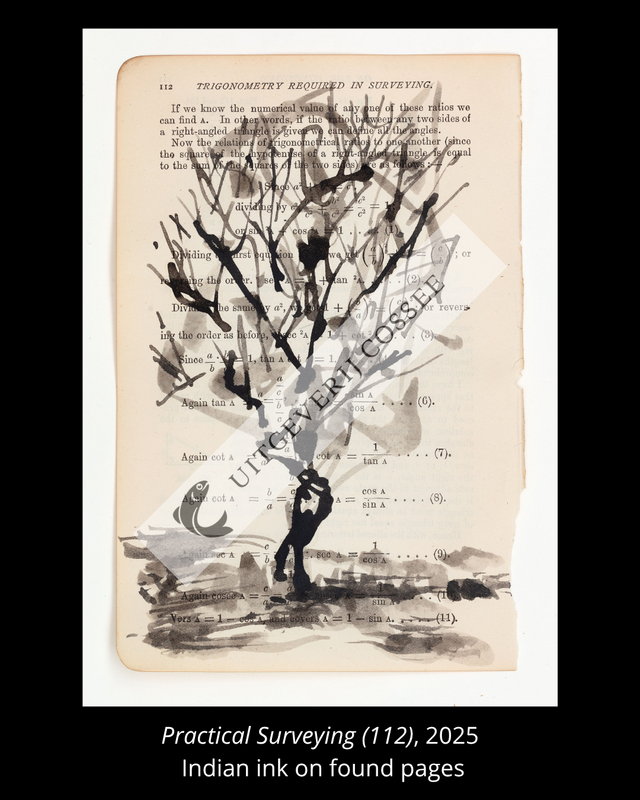A Natural History of the Studio + original drawing 6