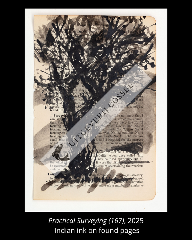 A Natural History of the Studio + original drawing 7