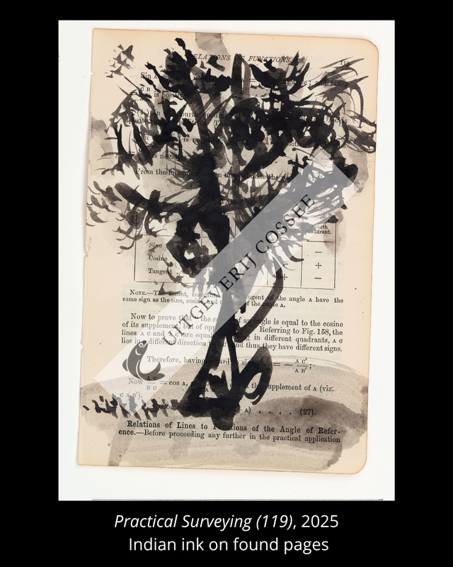 A Natural History of the Studio + original drawing 12