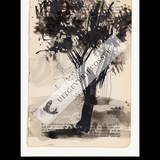 A Natural History of the Studio + original drawing 13