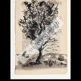 A Natural History of the Studio + original drawing 14