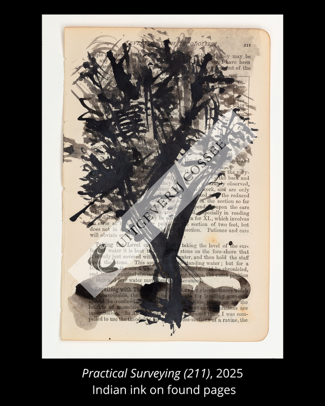 A Natural History of the Studio + original drawing 15