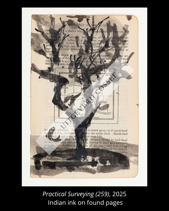 A Natural History of the Studio + original drawing 18