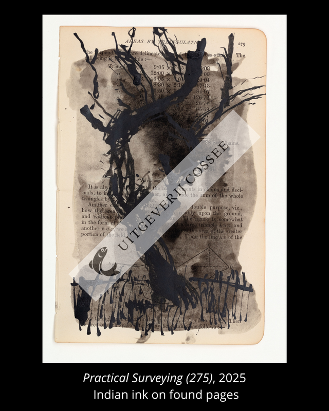 A Natural History of the Studio + original drawing 19