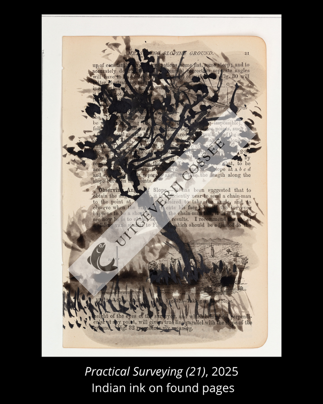 A Natural History of the Studio + original drawing 22