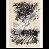 A Natural History of the Studio + original drawing 23