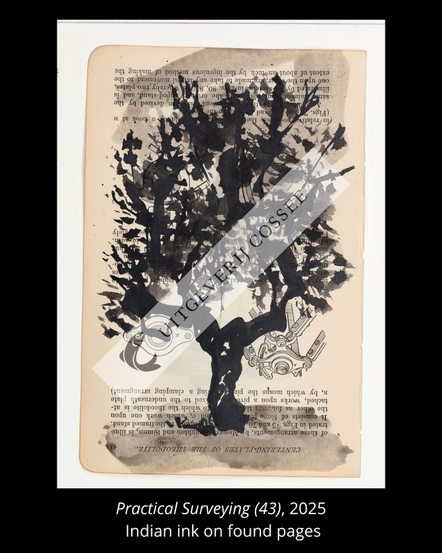 A Natural History of the Studio + original drawing 25
