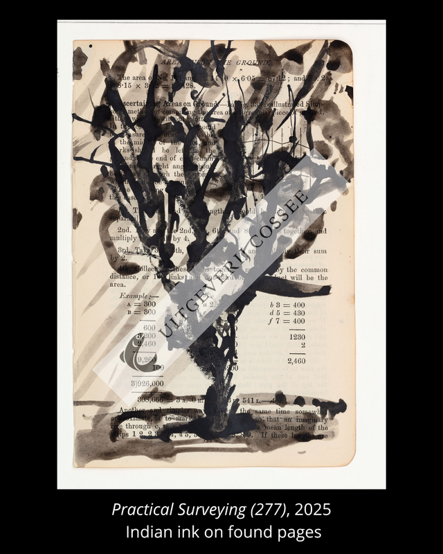 A Natural History of the Studio + original drawing 26