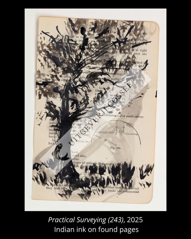 A Natural History of the Studio + original drawing 28