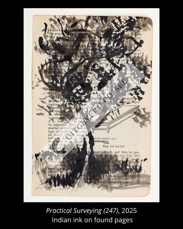 A Natural History of the Studio + original drawing 29