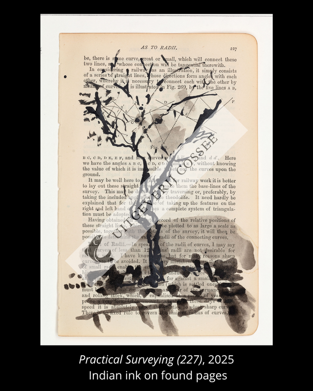 A Natural History of the Studio + original drawing 31