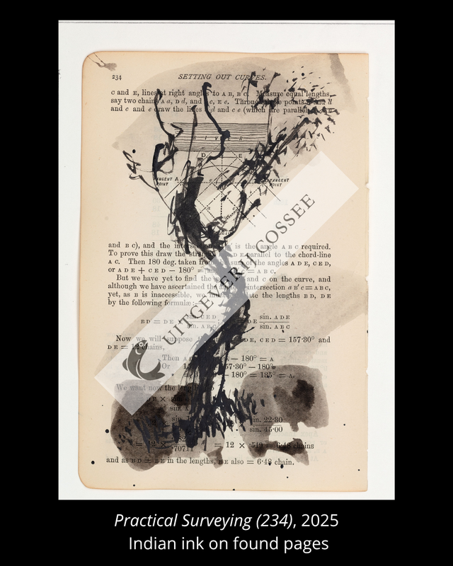 A Natural History of the Studio + original drawing 32