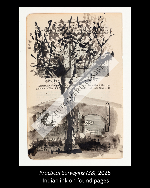 A Natural History of the Studio + original drawing 33